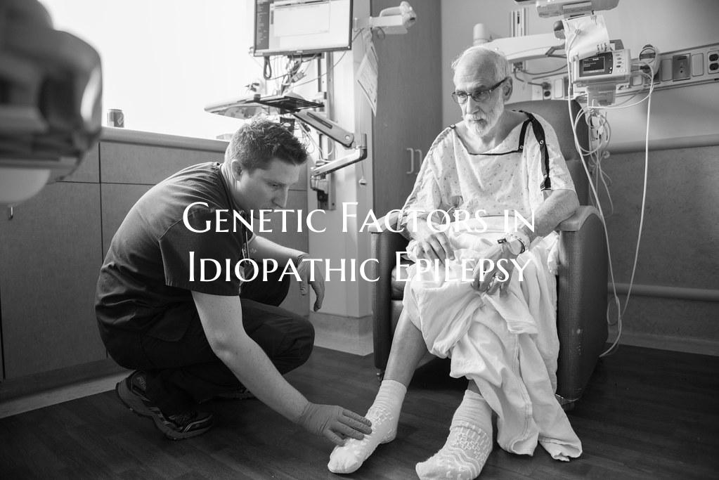 Genetic Factors in Idiopathic Epilepsy